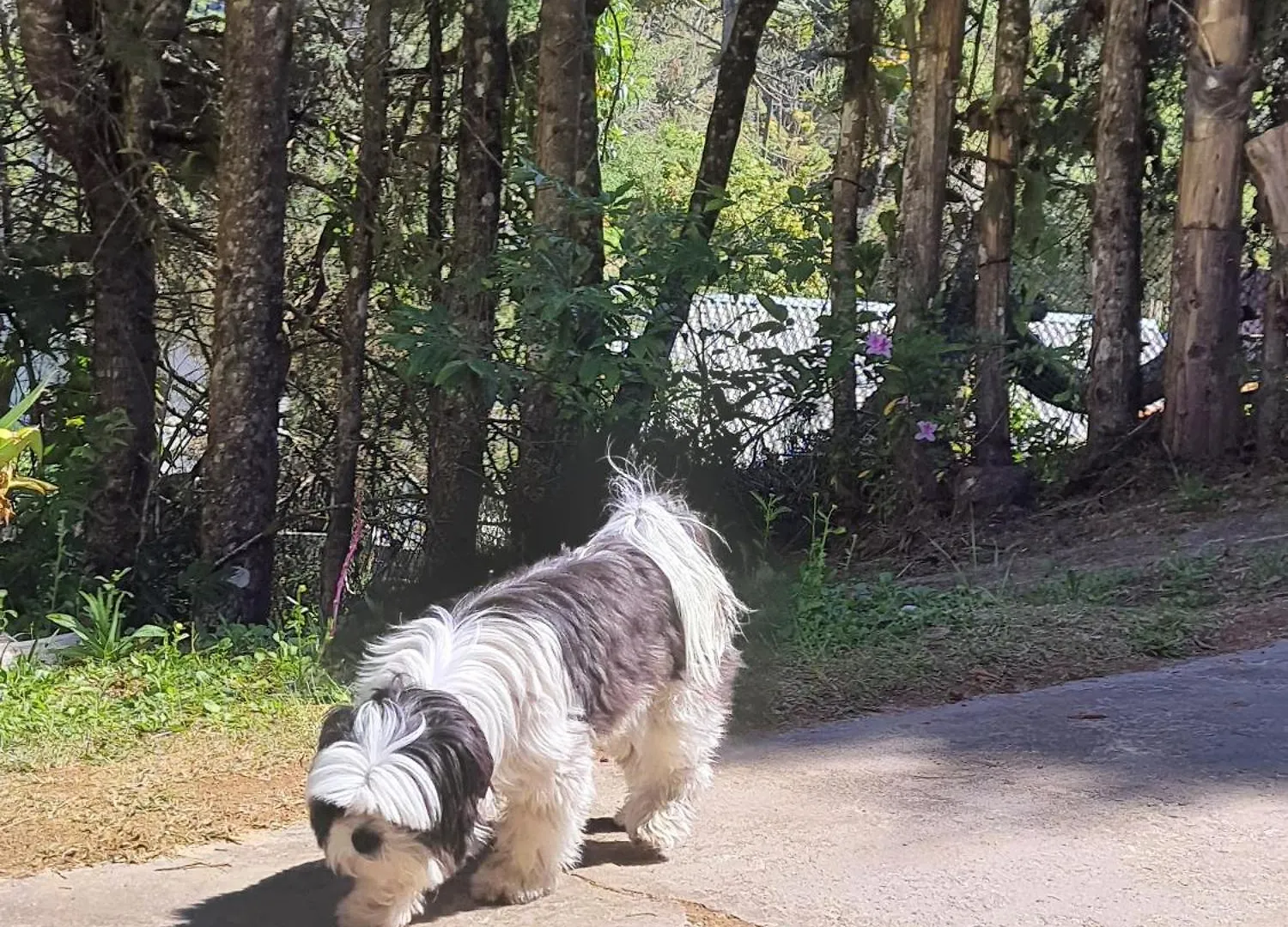 Pousada Valle Do Sol Campos do Jordão 게스트하우스